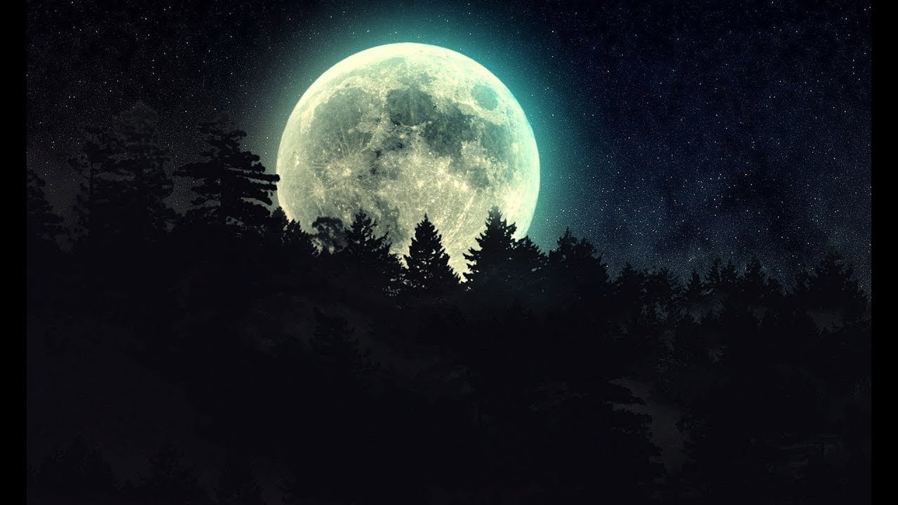 Bigfoot Sighting In Kentucky: Implications