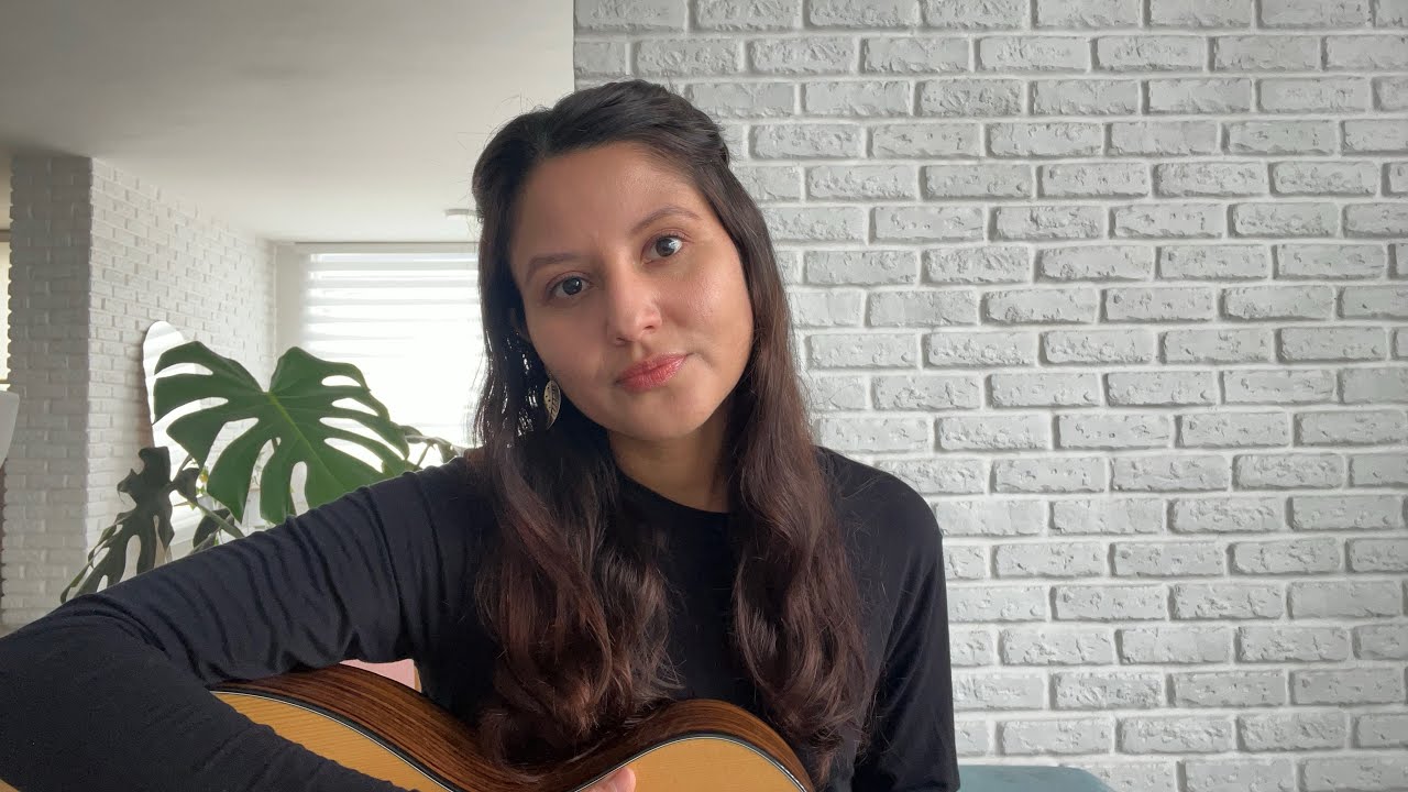 Babieca! - Guitarricadelafuente / Cover por Jo