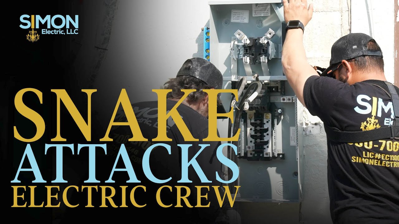 Snake Attacks Electric Crew - Simon Electric LLC