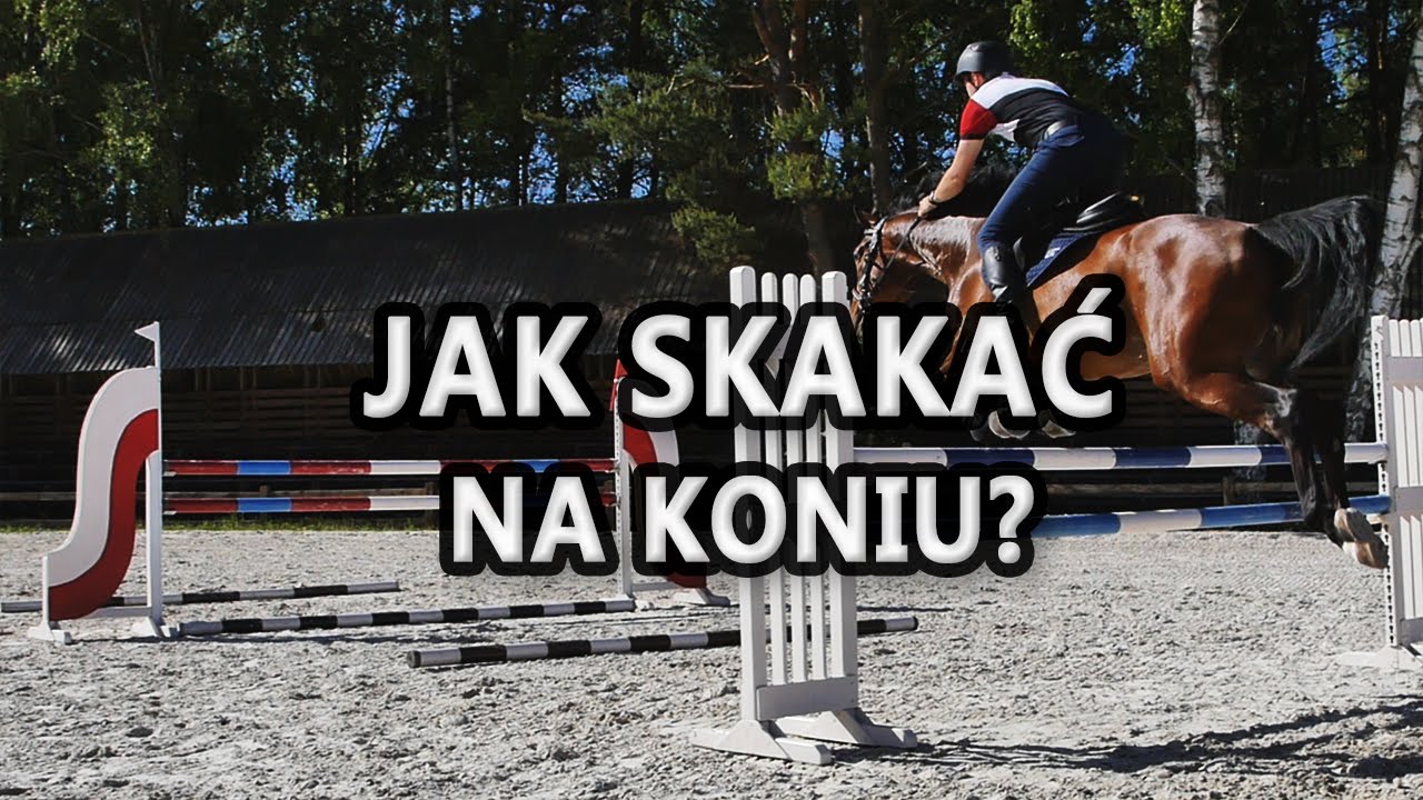 Jak skakać na koniu? Jak sprawić, aby koń skakał?