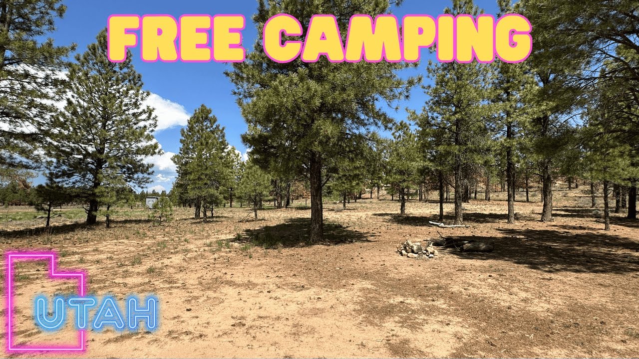 Toms Best Spring | Free Camping ✅
