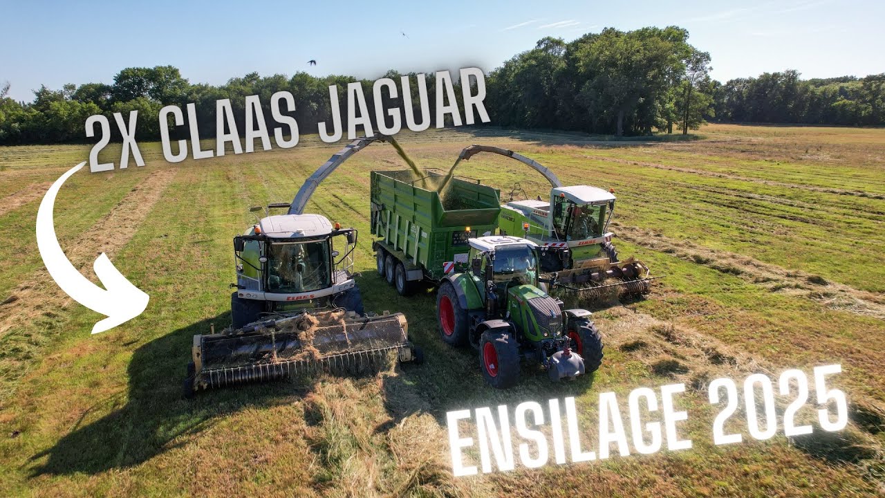 2x Claas Jaguar & Fendt 936 x Claas Disco | Ensilage 2025 🌾