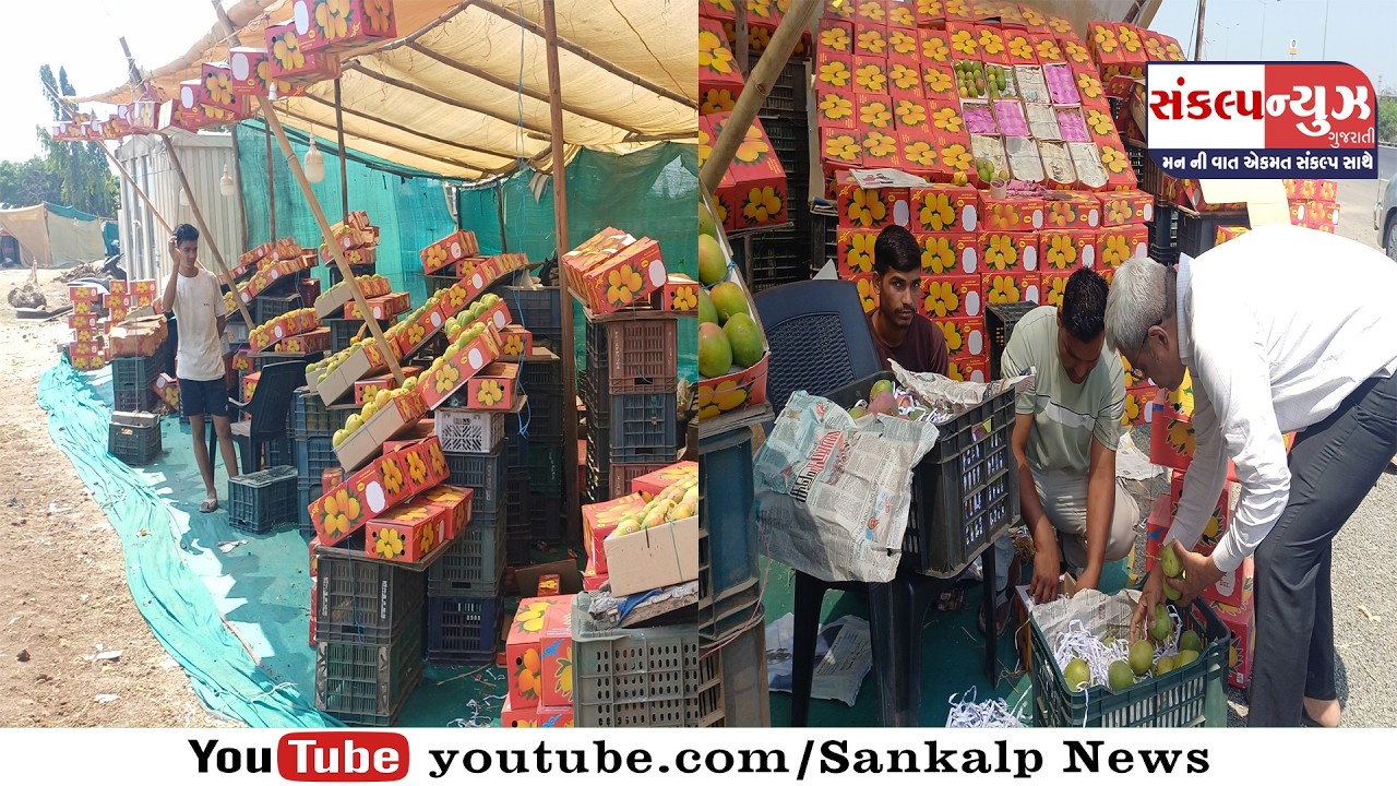 પારડી હાઇવે પર ઝારખંડના વેપારીઓ કાર્બાઇડ-ઈથનોઇ જેવા કેમિકલથી પકાવી કેરીઓનું ધૂમ વેચાણ થતા આરોગ્યને