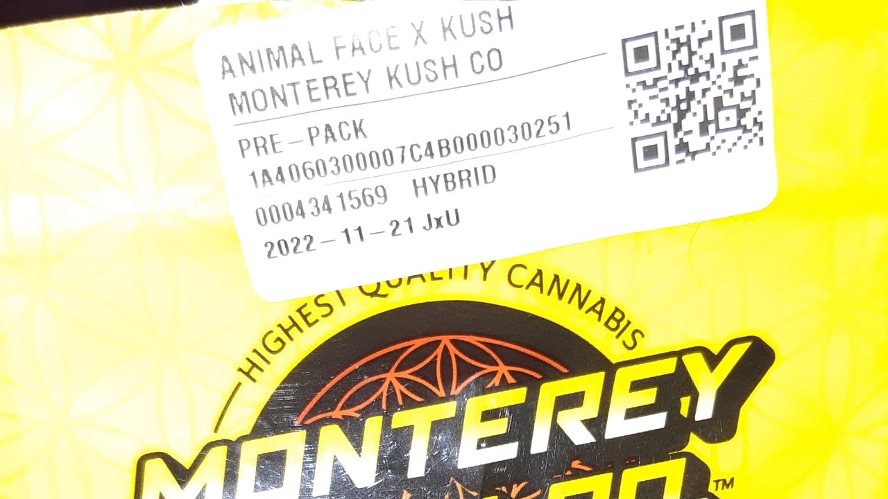 strain review Monterey kush co animal face x kush