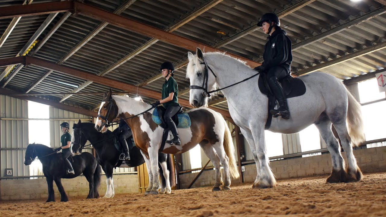 Equine Care & Management at Hopwood Hall College