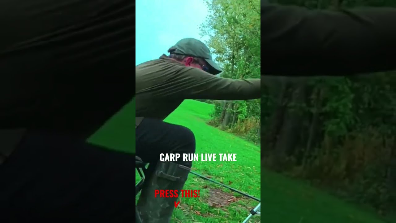 CARP RUN CAUGHT LIVE!