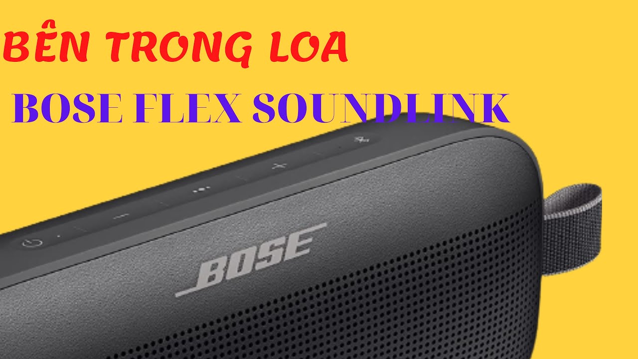 INSIDE BOSE FLEX SOUNDLINK - Bên Trong Loa Bose FLEX Soundlink