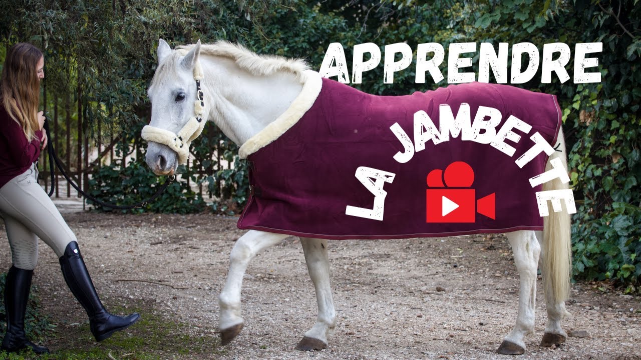 TUTO : Comment apprendre la jambette à son cheval ?