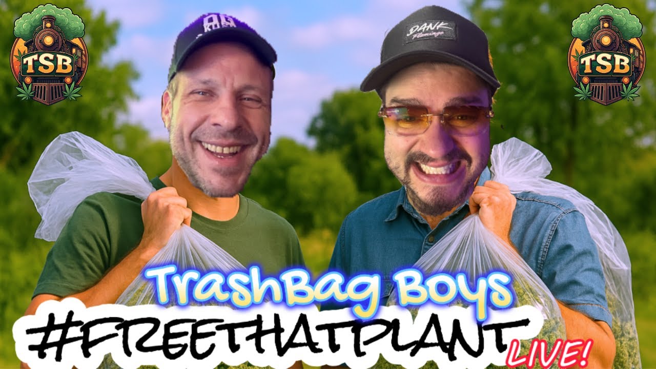A TSB Mail Call with Cannabis and Coffee & The Dank Flamingo