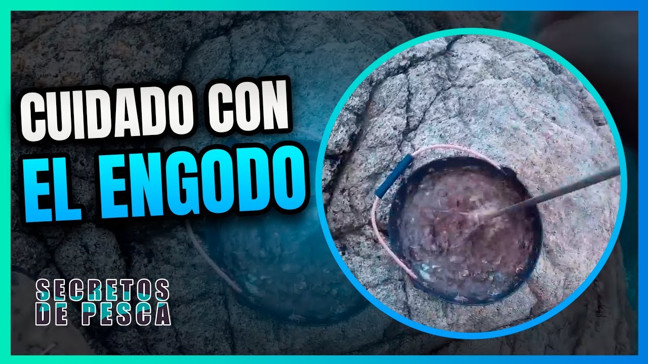 ⚠️Pesca del SARGO CUIDADO con el ENGODO🆘️