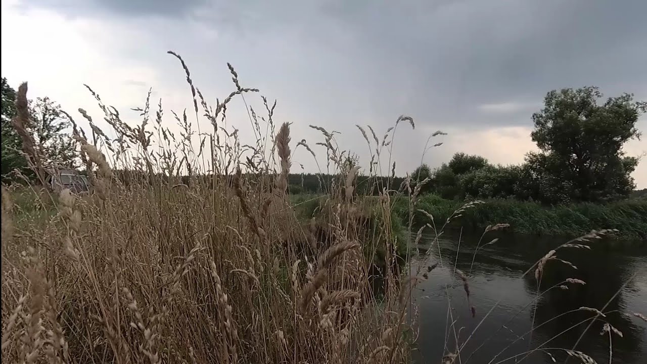 На рыбалке попал в грозу. И красиво и страшно... Река Свислочь.