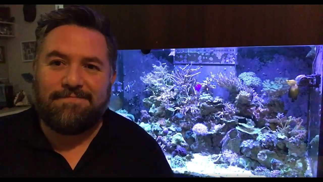 Ciclado del acuario marino