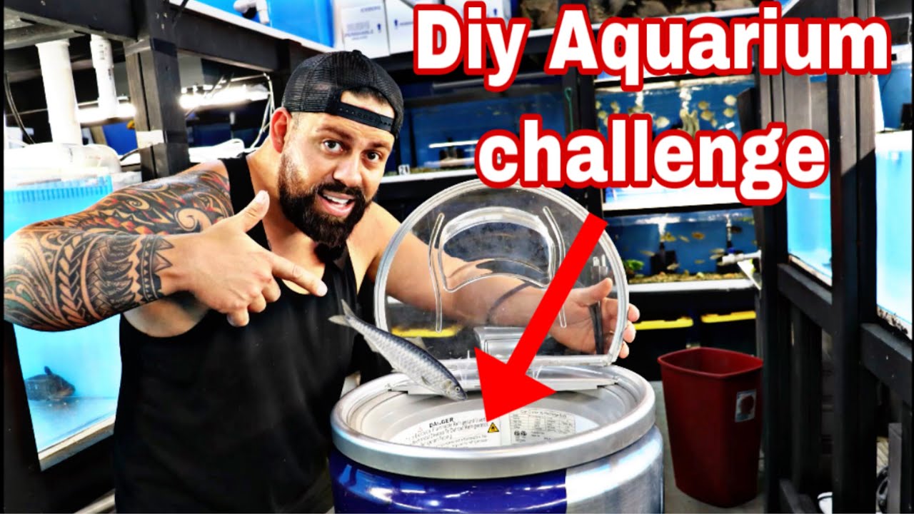 AQUARIUM CHALLENGE INVENTION I MADE A REDBULL FISH TANK! *$100 STORE CREDIT* Can you beat The Neck?!