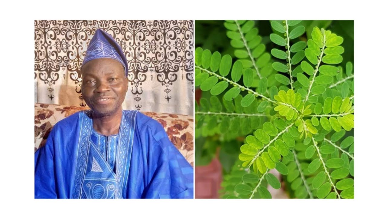 Agbara Yoruba kan ree latowo Baba Oloyin Original, Asiiri nla ti won n fi Ewe eyin Olobe se ree