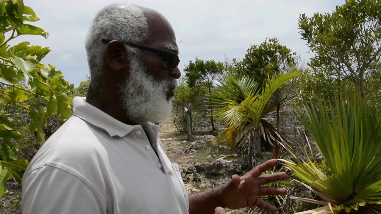 Bonnes pratiques de GIZC à Rodrigues  : restauration et conservation d’écos. côtiers endémiques