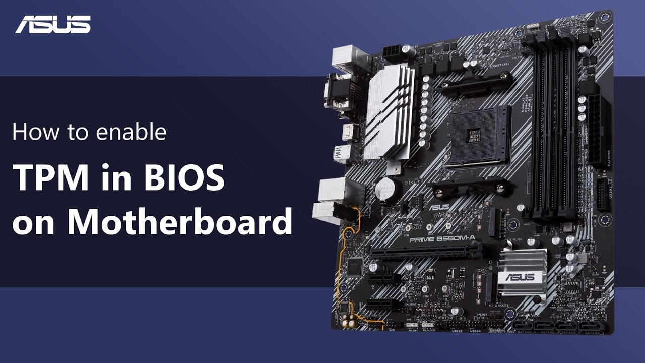 Как включить TPM в BIOS на материнской плате    | ASUS SUPPORT