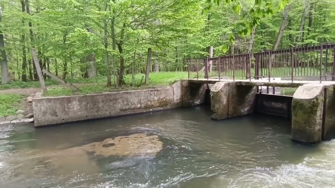 Hydrotechnika w minutę: Jaz na rzece Łeba