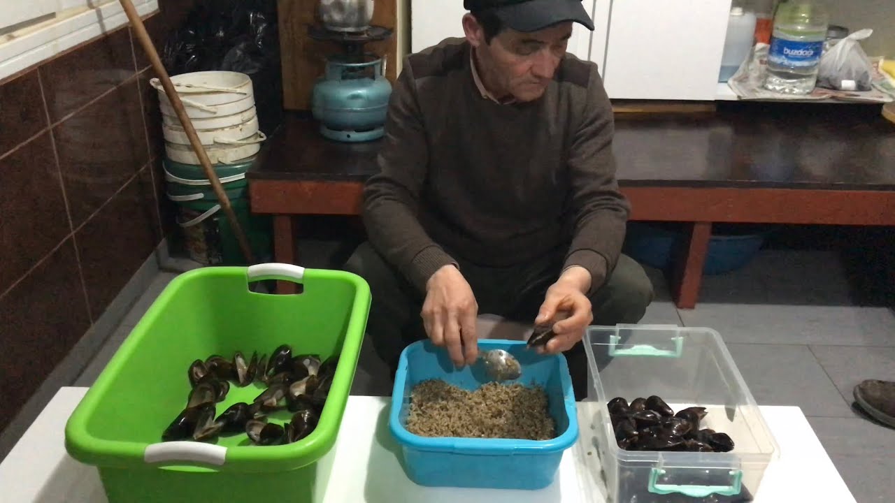 Midyecilerin Pirinden Midye Dolma Tarifi
