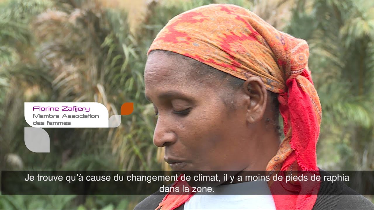 Raphia durable: conservation de la biodiversité par les communautés locales à Madagascar