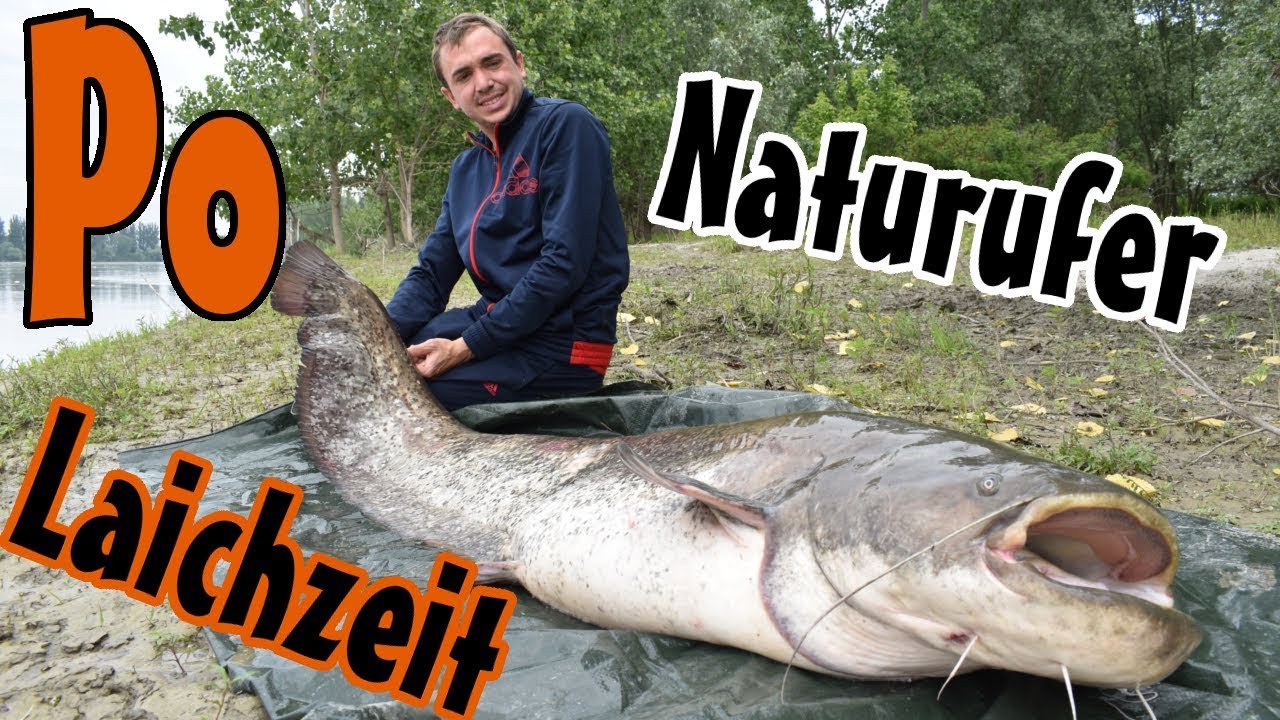 Naturufer Po