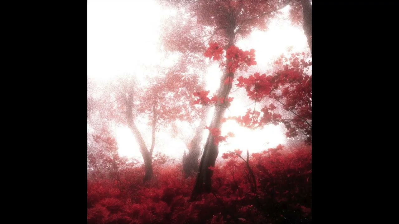 [free for profit] ambient + indie type beat - 