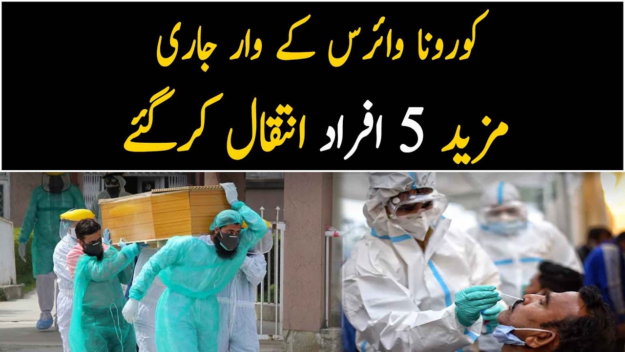 Corona virus continues, 5 more people died