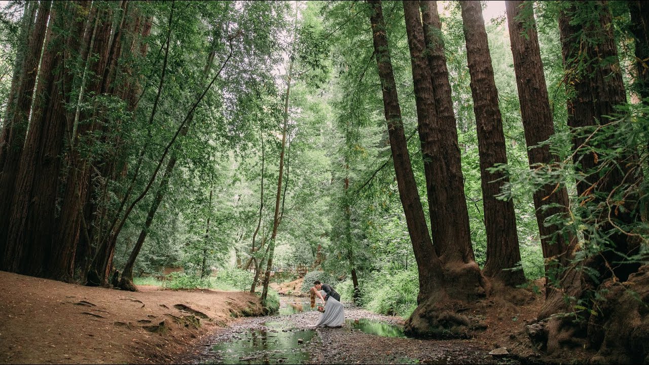 REDWOODS ELOPEMENT | SARAH & AARON