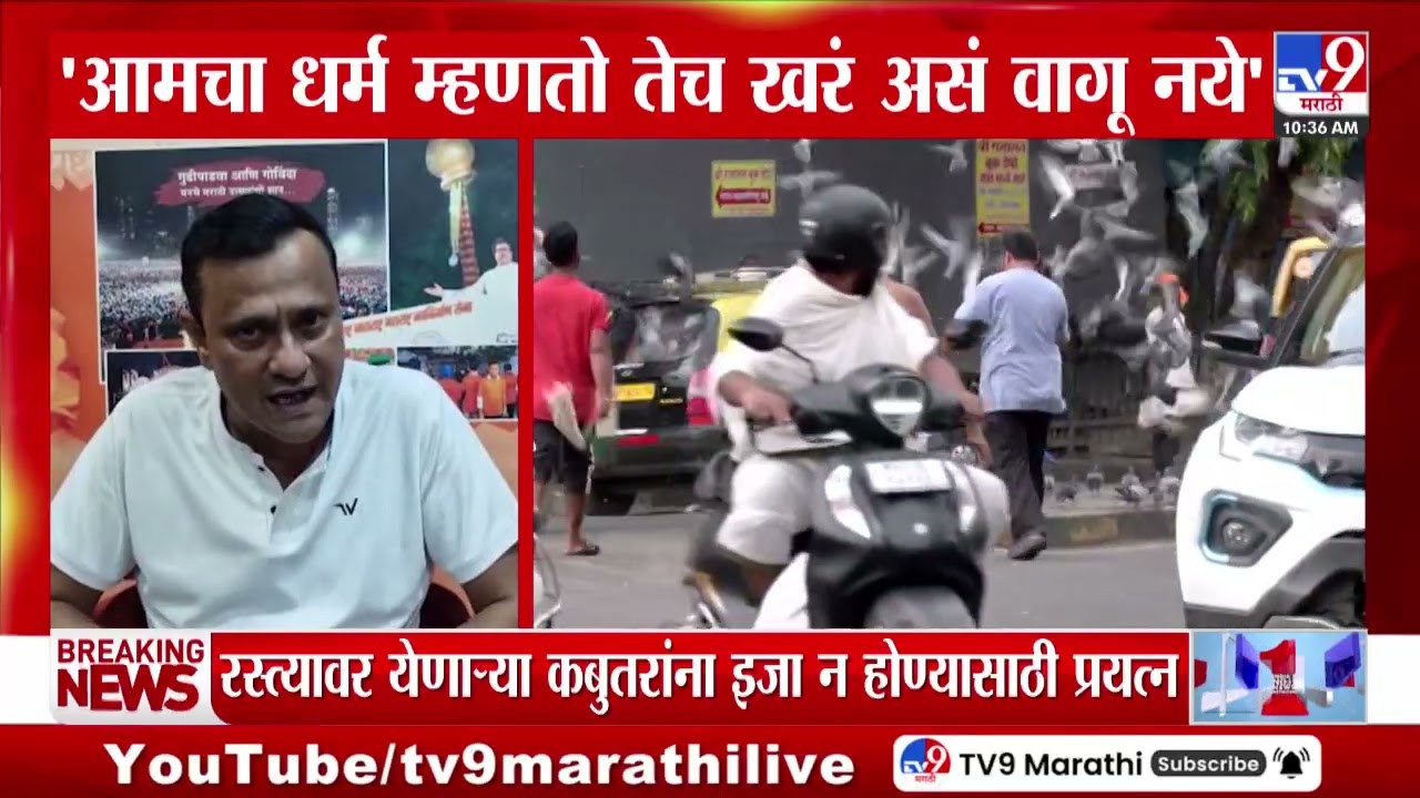 Dadar Kabutar Khana | रस्त्यावर येणाऱ्या कबुतरांना इजा पोहोचू नये यासाठी प्रयत्न