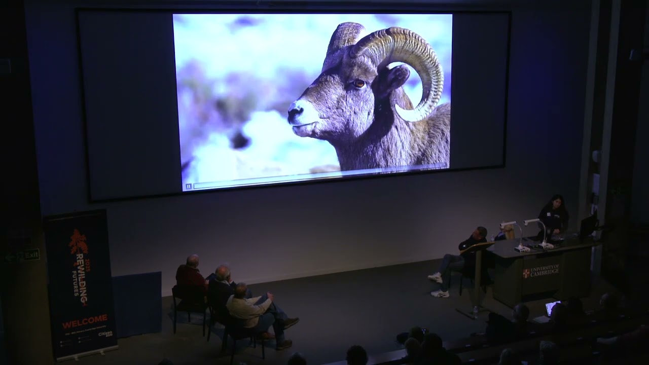 Citizen Zoo Rewilding Conference 2025 - Manda Kalimian on Rewilding The American West