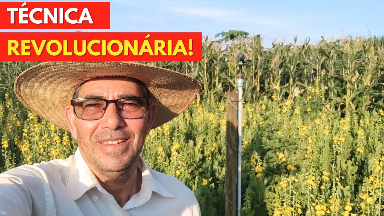 Menos ADUBO e + PRODUÇÃO: Técnica Revolucionária no Plantio do MILHO! (Passo a Passo).