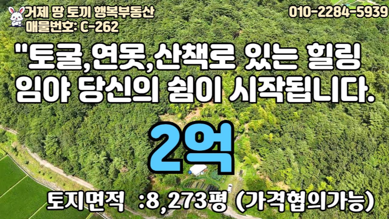 &ldquo;연못과 토굴, 그네가 있는 8천평 힐링 임야&hellip;약초와 과일이 자라는 거제 숲속 쉼터/&ldquo;이런 임야 처음 보셨죠? 거제 연초면 숲속에 숨겨진 자연인 힐링 공간 공개!&rdquo;