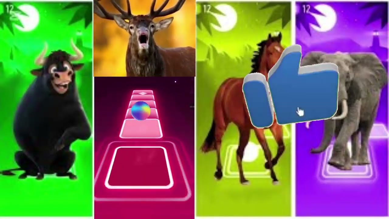 Funny Ferdinand🐃🆚Funny dear🐃🆚🐘 🆚FunnyHorse🐎🆚Funny Rhinoceros🦏