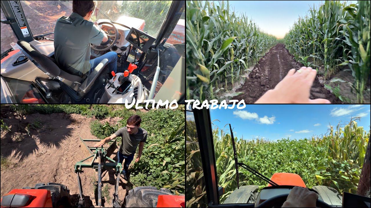 ASÍ FINALIZAMOS LOS TRABAJOS. AHORA SI A ESPERAR LAS TRILLAS 👀‼️