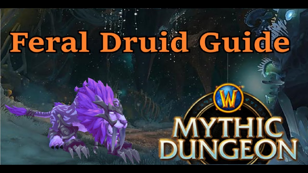 Feral Druid PVE Guide BFA [8.2.5.]