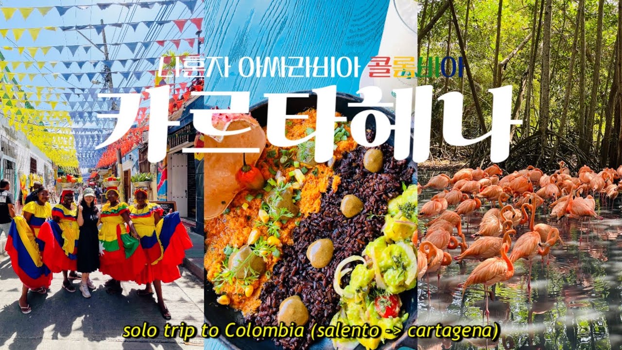 🇨🇴혼자서 카르타헤나 4박5일 현지인 맛집 털고🦐 카리브해에서 수영하고🌊 인생 플라밍고들 만나고🦩 부에노스아이레스로 컴백🙌