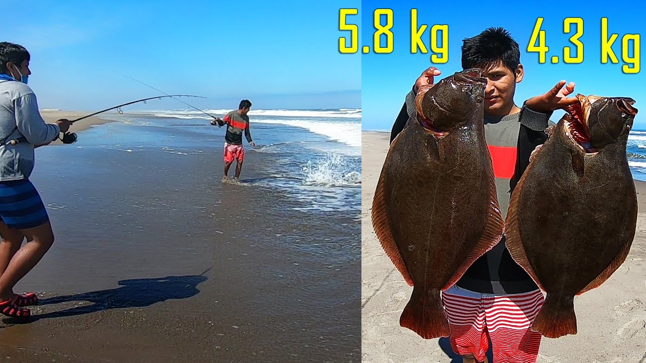 100 - Lenguados de 5.8 kg y 4.3kg!!!!/ Big Flounder with lure