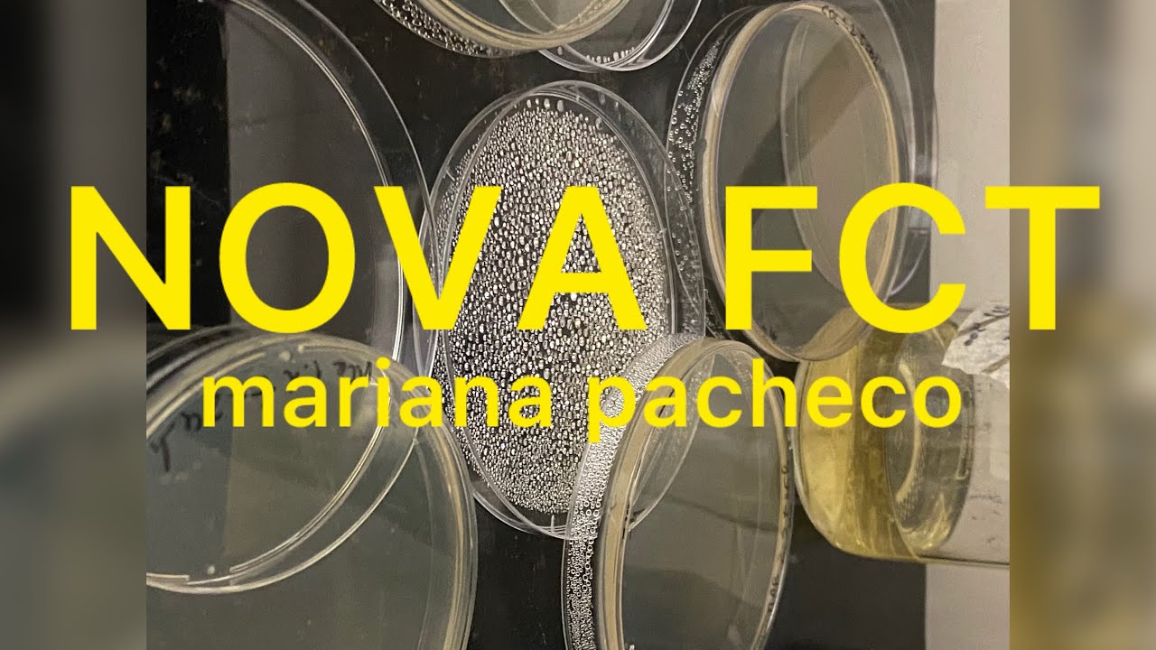 vlog primeira semana NOVA FCT (BCM) • dicas, visão da uni & vida em lisboa/almada 22/23