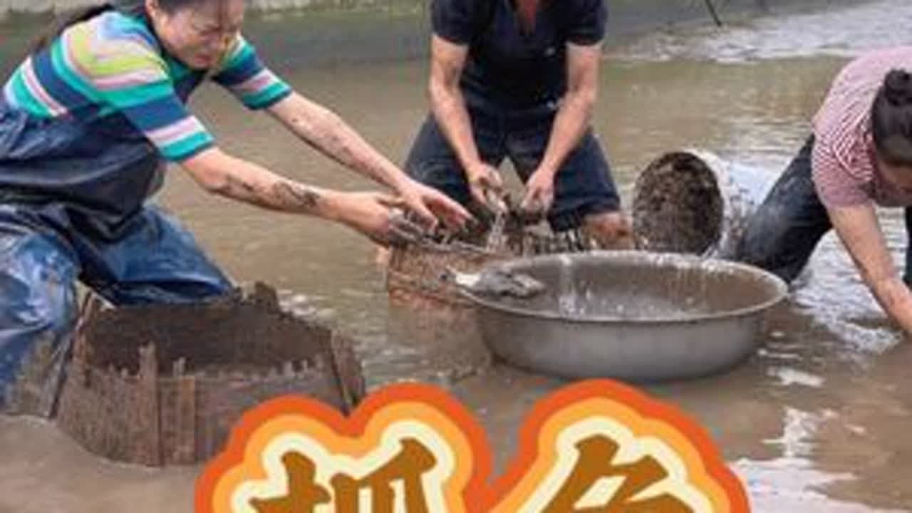 秀儿姐家的鱼确实好吃，只有又去抓点来吃。#新农人计划2025 #乡村美食满满的烟火气 #我的乡村生活 #真实户外 #三哥和芬姐乡村生活