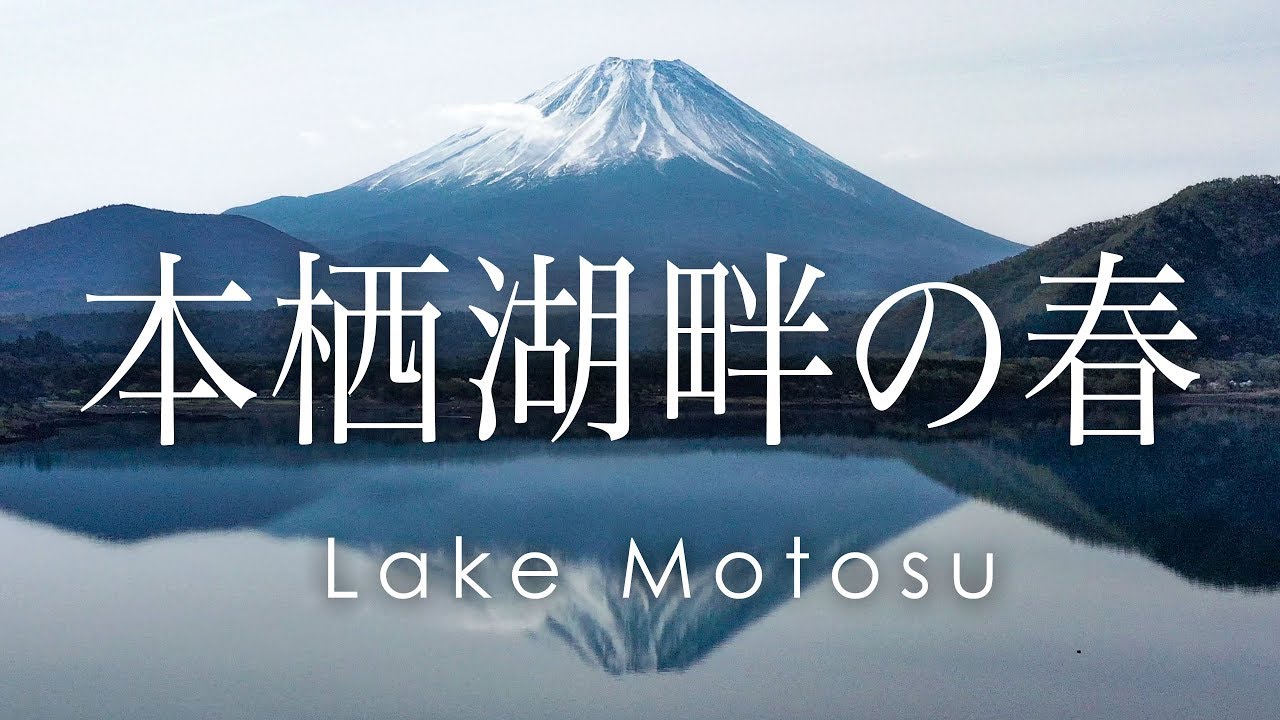 空撮 富士山 逆さ富士 本栖湖畔の春 | Mt. Fuji reflected on the water of Lake Motosu