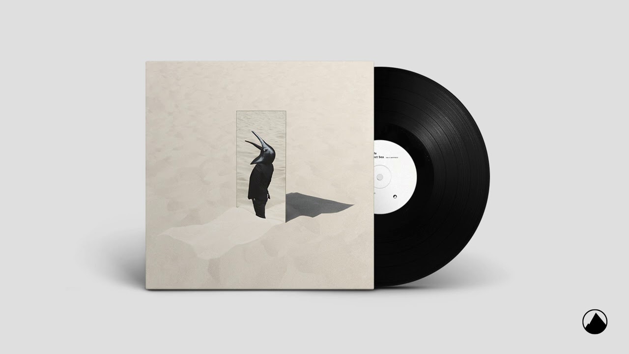 Penguin Cafe - Rescue