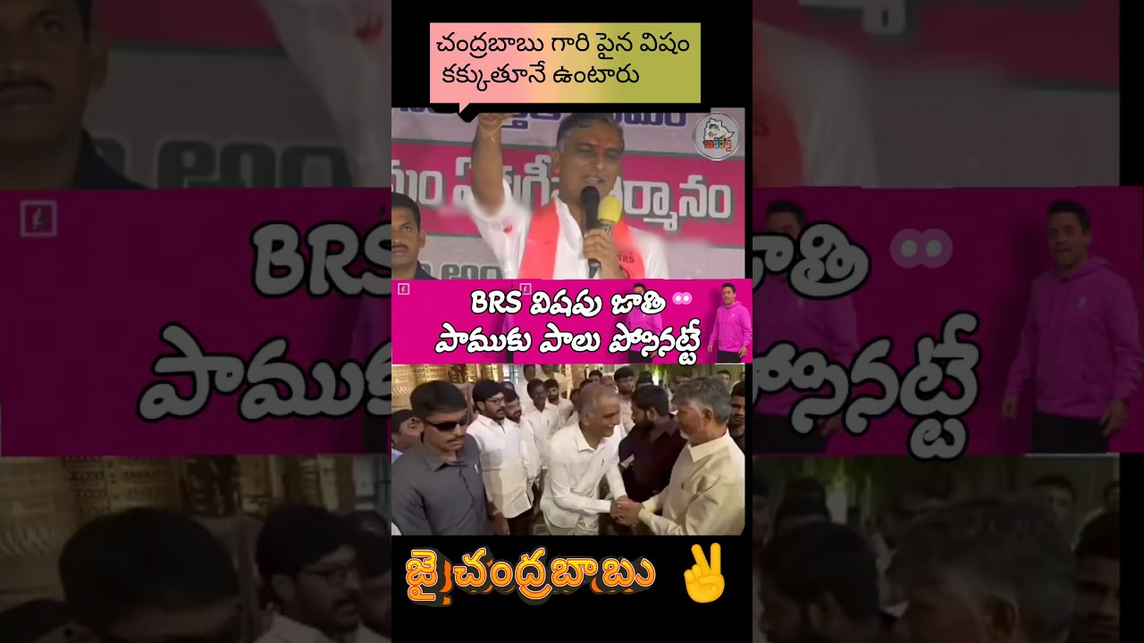 BRS విషం కక్కుతుంది, పాము కన్నా ప్రమాదం #brs #kcr #ktr #cbn #tdp #chandrababu #telangana #nbk #ysrcp