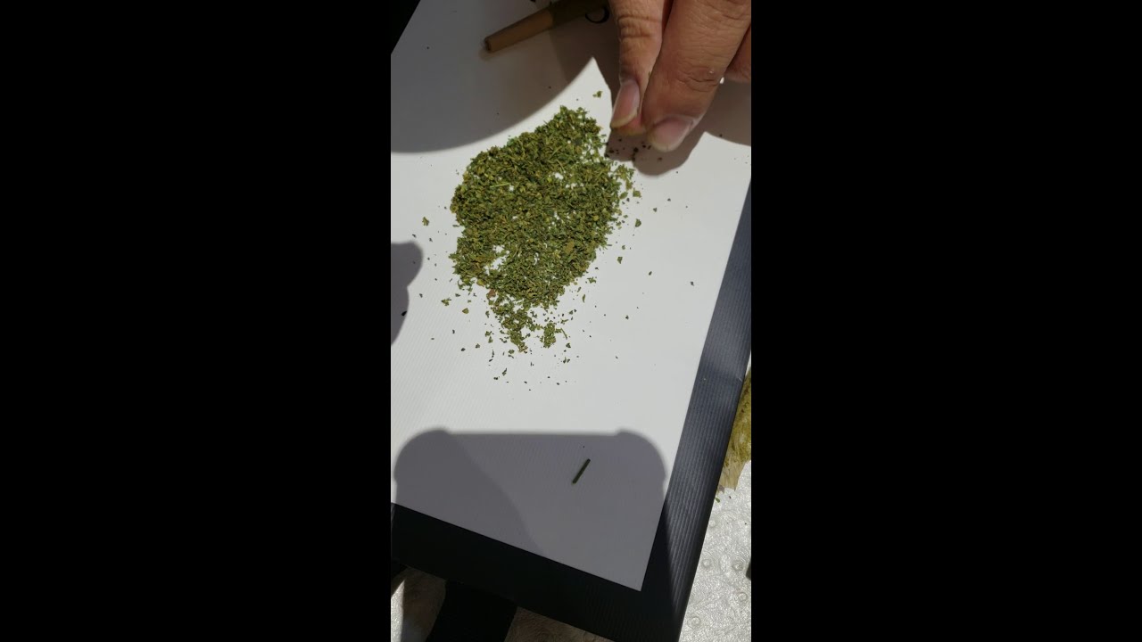 HighRoller VS Galaxy Pre Roll
