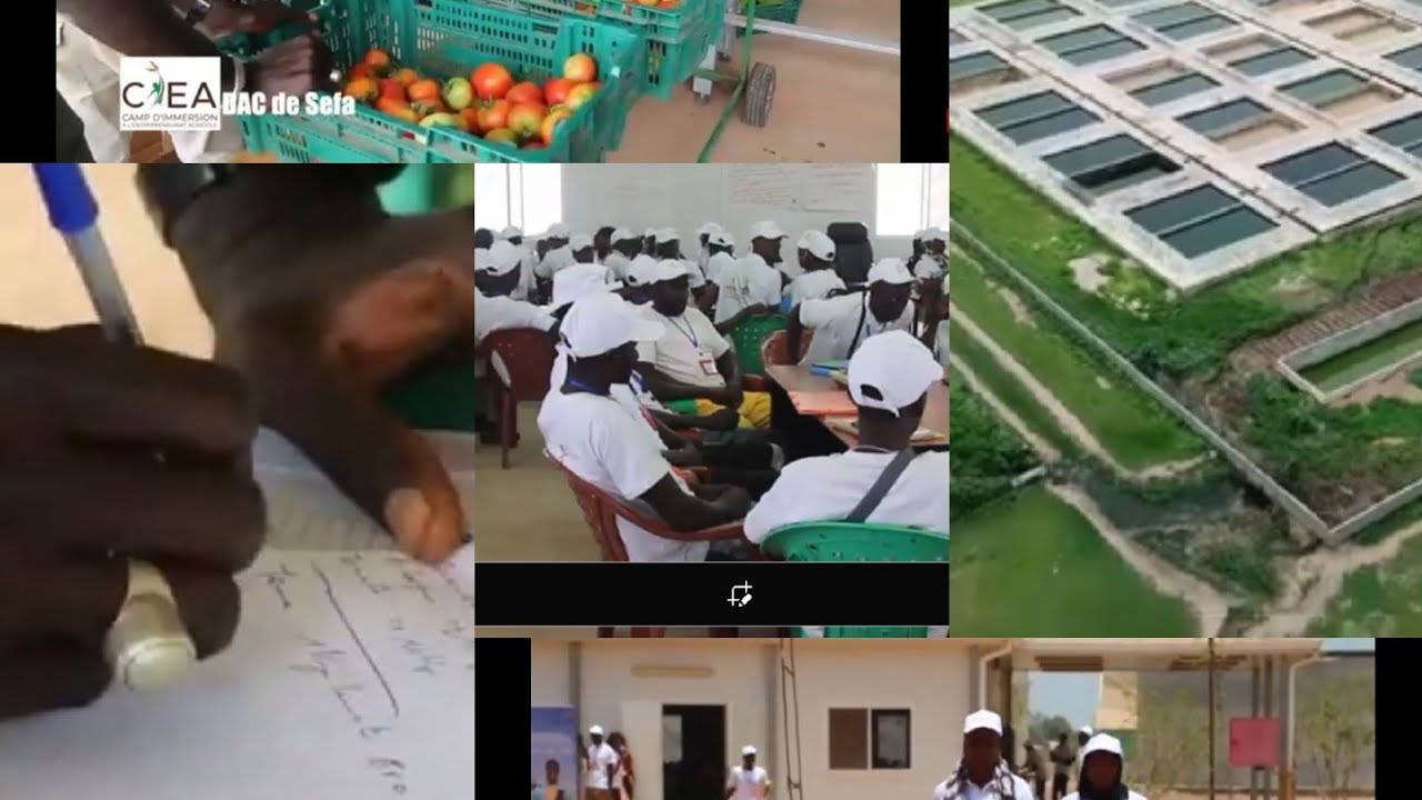 Prodac/ Dac de Séfa : un camp d’immersion pour 200 jeunes à l’entreprenariat agricole