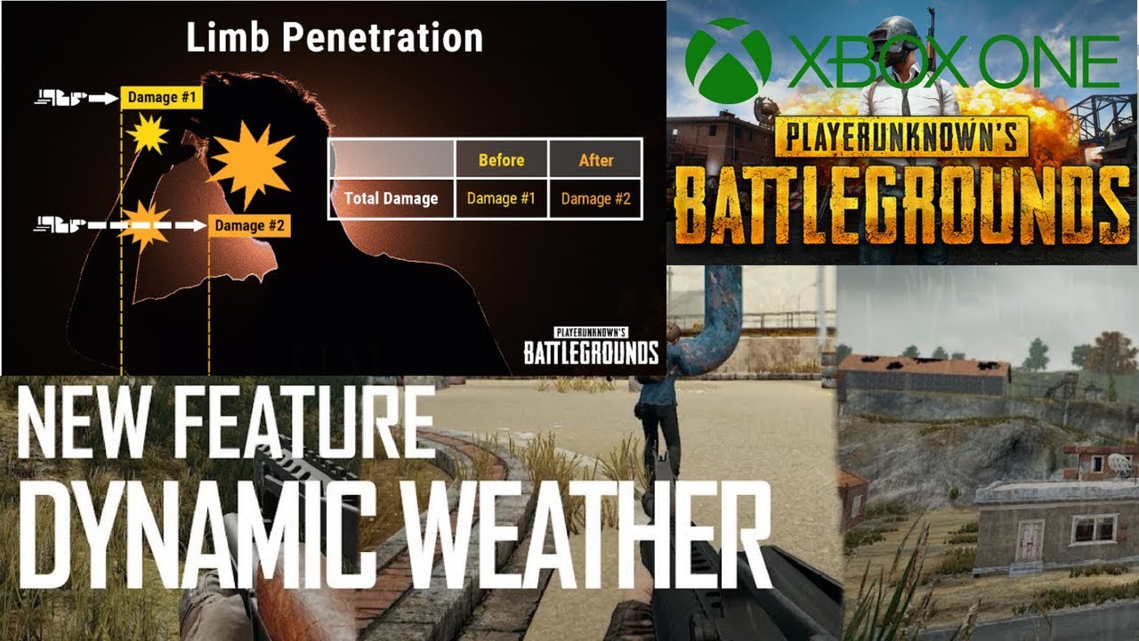 XBOX PUBG TEST SERVER. EVERYTHING YOU NEED TO KNOW ABOUT WEATHER CHANGES, LIMB PENETRATION AND MORE!