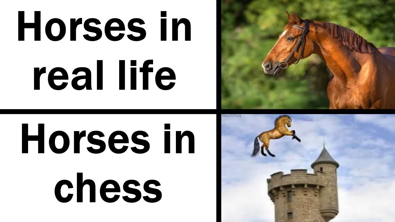 Daily Juicy Memes 347