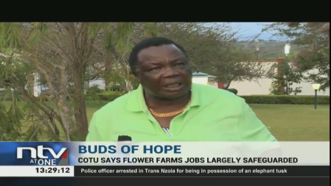 Francis Atwoli  says jobs in flower farms largely safeguarded