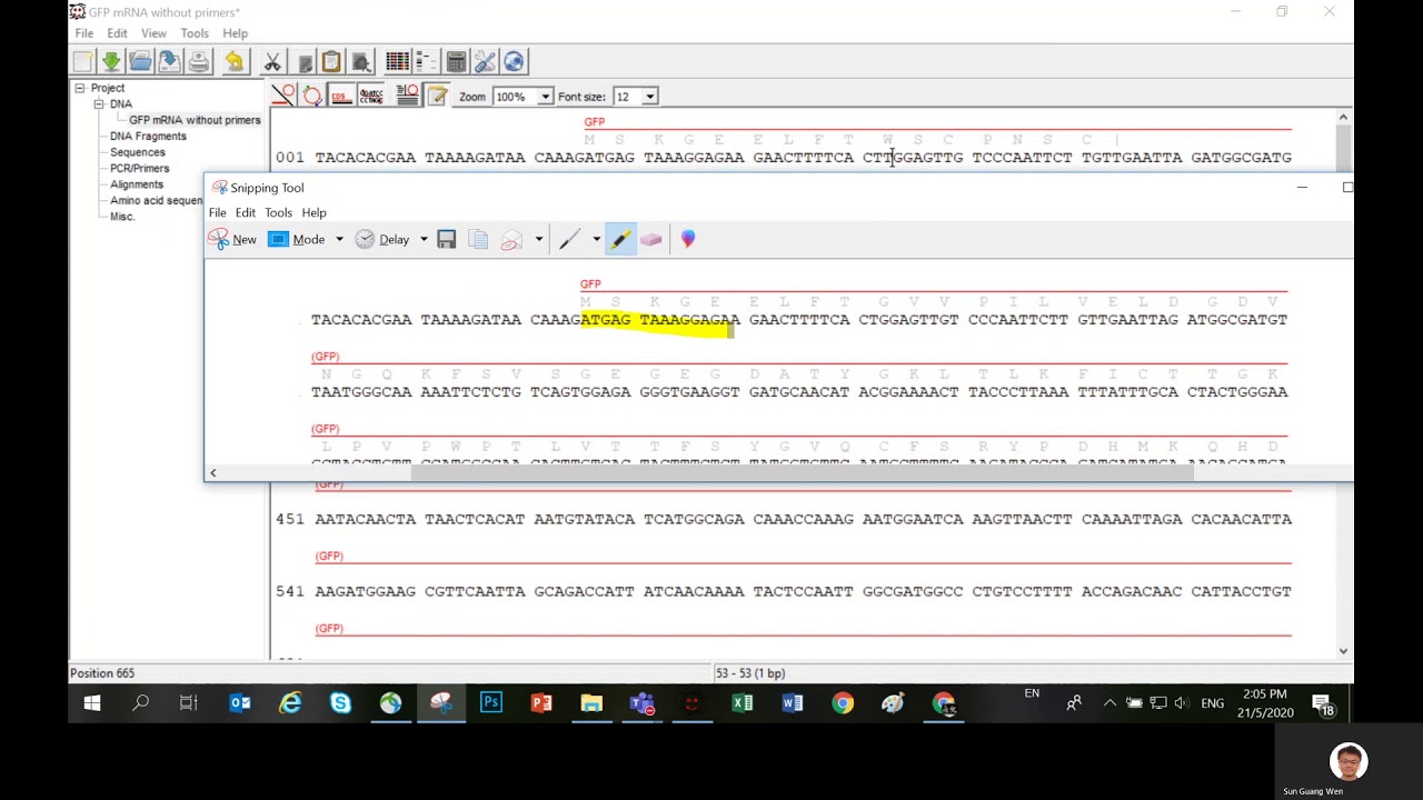 How to analyze reading frame and frame shift in GENtle?