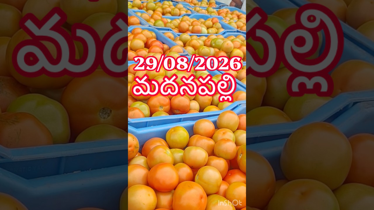 మదనపల్లి టమాటో మార్కెట్ సూపర్ టాప్ ధరలు #tomato #price #rates #today #super7 #madanapalle