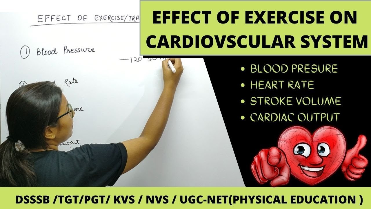 EFFECT OF EXERCISE ON CARDIOVSCULAR SYSTEM || M.P.ED || B.P.ED || UGC-NET|| PHYSICAL EDUCATION