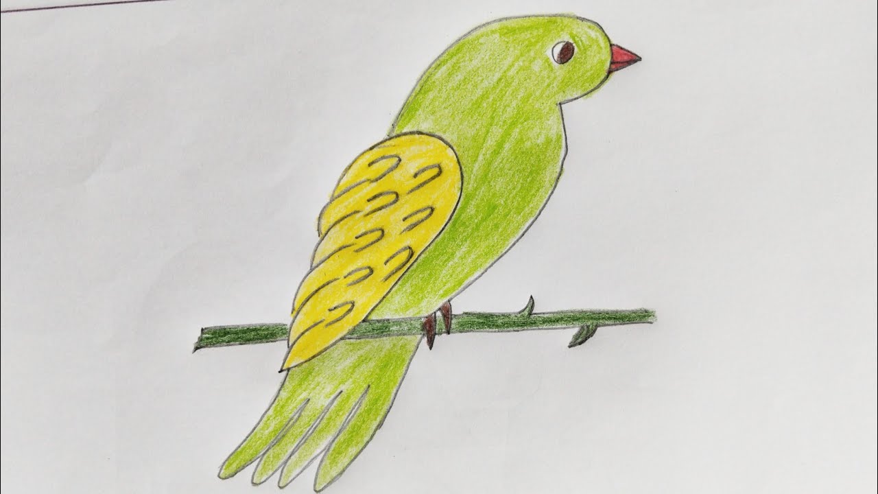 Easy Bird 🕊️ Drawing || How To Draw A Bird Easily. 